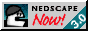 nedscape 3.0 with homestar